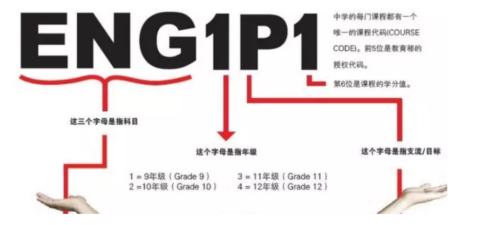 Picture1.png
